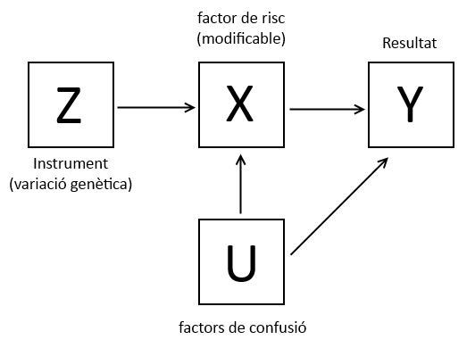 mendelianRandomization