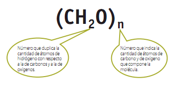 Fórmula química genèrica dels carbohidrats