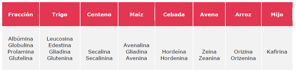Diferents proteïnes dels cereals més comuns. Belitz i Grosch (2001)