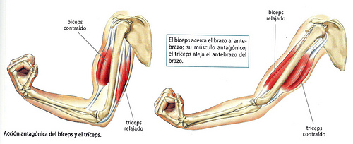 6788723903_694883d013