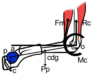 Fig_1