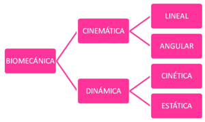 Fig_4