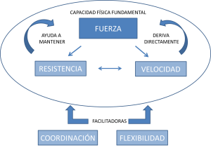 esquema_fuerza