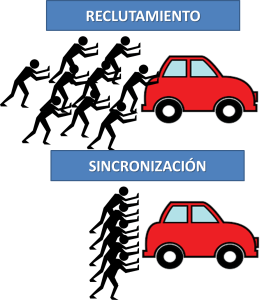reclutamiento_sincronizacion