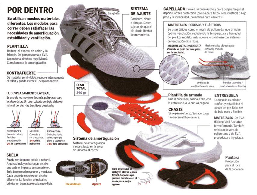zapatilla