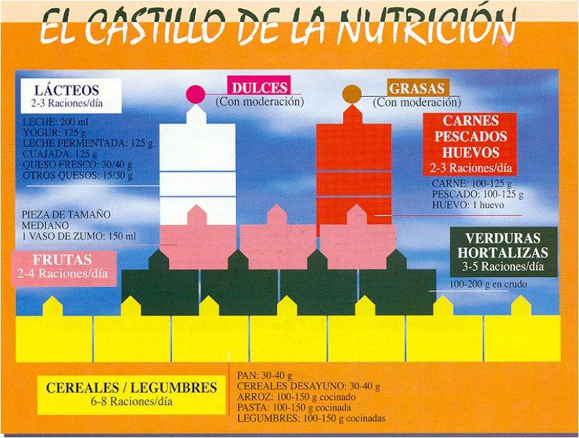 Requejo AM, Ortega RM. Tríptico: Alimentación infantil: Su alimentación no es un juego. Exmo. Ayuntamiento de Madrid, Concejalía de Sanidad y Consumo, Madrid, 1993