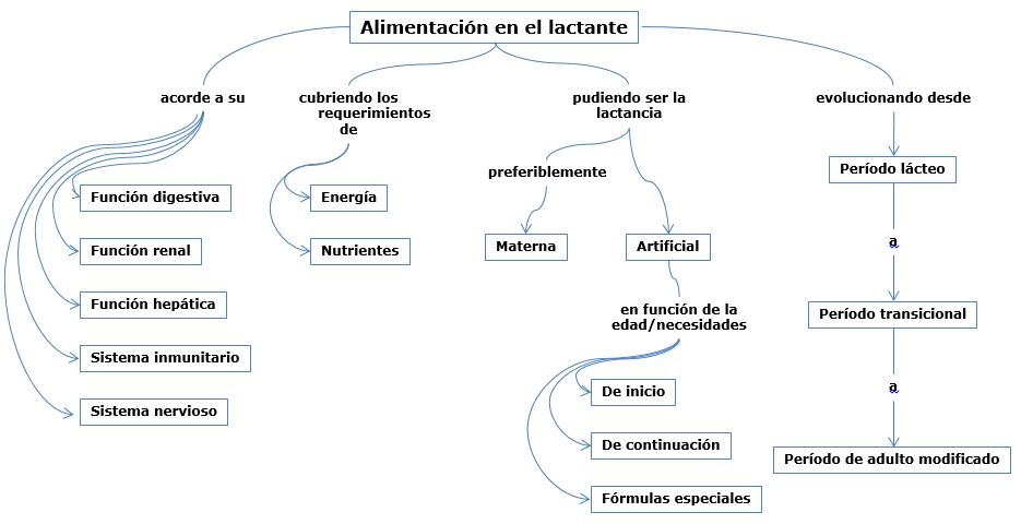 Mapa conce
