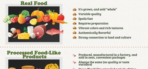 378577_650278661654185_1374788189_n[1]