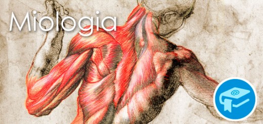 Apunts-Anatomia-Miologia