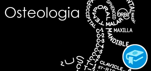 Apunts-Anatomia-Osteologia