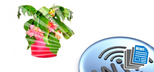 Noticies-WiFi-Plantes