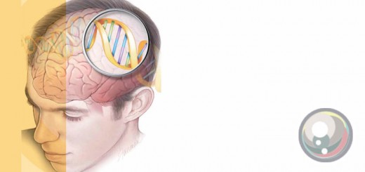 Perla-GensComportament