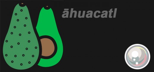 Perla-OrigenNomAlvocat