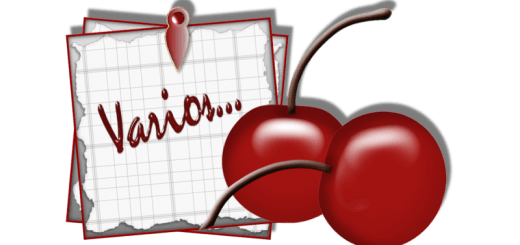 loli%20portada%20varios%20guinda[1]