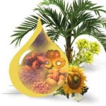 Olis vegetals baixos en omega-6, en cru, acceptables