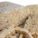 El Tempeh &eacute;s un derivat de la soja fermentada molt alt en probi&ograve;tics. Si hagu&eacute;s d'incorporar un derivat de la soja a la dieta segurament seria aquest