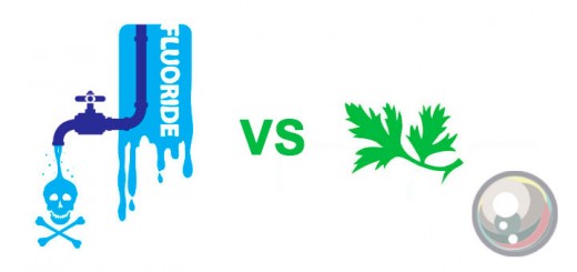 Perla-FluorAiguaColiandre