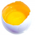 El rovell de l'ou és molt nutrient i gran font de zinc
