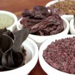 Les algues s&oacute;n les reines en iode