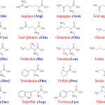 Aminoacids[1]