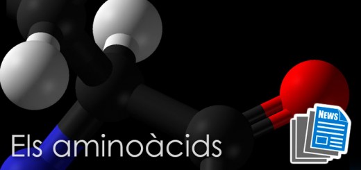 Apunts-Aminoacids