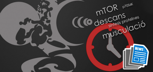 Noticies-12setmanesDescans