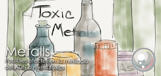 Perla-Metalls-metilacio