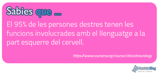 PlantillaPostsTipos-SabiesQue-hemisferi