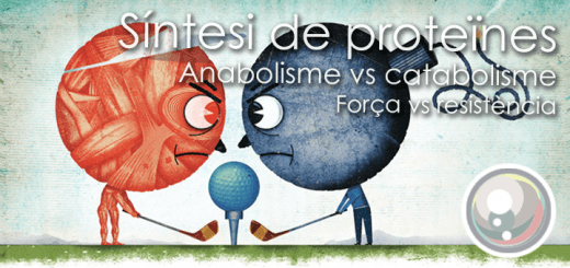 Perla-AnabolismeCatabolisme