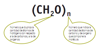 F&oacute;rmula qu&iacute;mica gen&egrave;rica dels carbohidrats