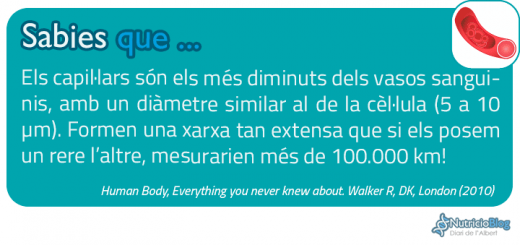 SabiesQue---Capillaries