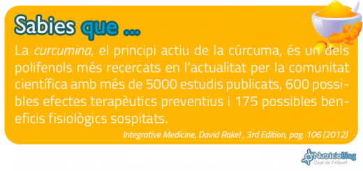 SabiesQue---Curcuma