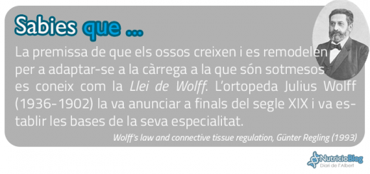 SabiesQue---LleiWolffi