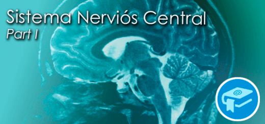 Apunts-SistemaNerviosCentral1