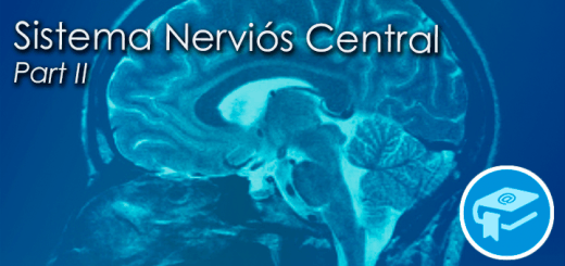 Apunts-SistemaNerviosCentral2