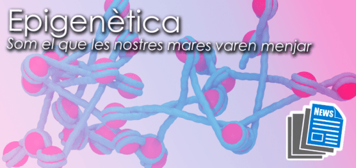 Noticies-Epigenetica