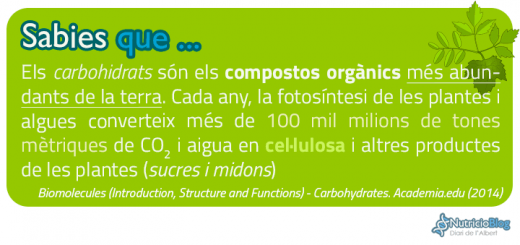 SabiesQue---CarbosMesAbundantsTerraCelulosa