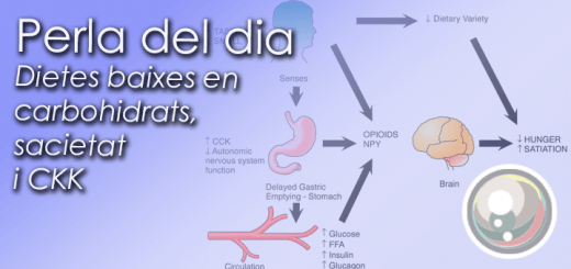 Plantilla-NoticiesCKK-LCD