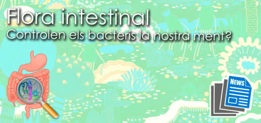 Plantilla-NoticiesFloraMent