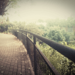 Passeig per L'H, Esplugues i Sant Ildefons, com ja vaig dir em va encantar el Parc dels Torrents