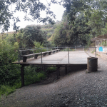 Endinsant-me per Collserola