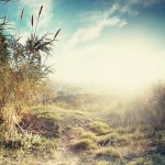 Vistes id&iacute;liques (HDR amb el m&ograve;bil) des de dalt als voltants del Cementiri de Montju&iuml;c