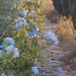 Baixant per Montju&iuml;c cap a Zona Franca