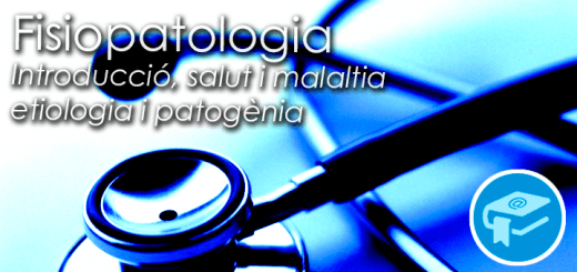 PlantillaPostsTipos-ApuntsFisio