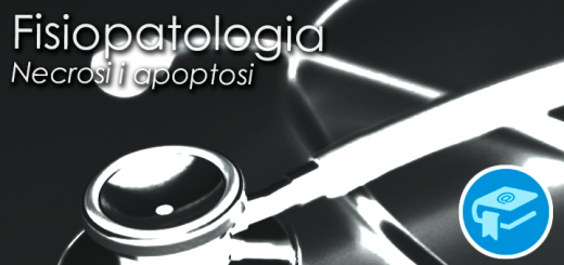 PlantillaPostsTipos-ApuntsFisioNecro