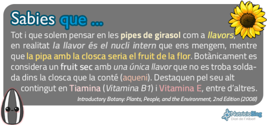 SabiesQue-SunflowerFruit