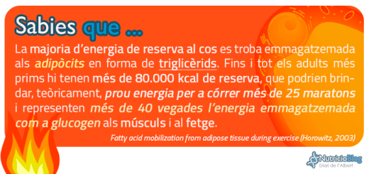 SabiesQue-EnergiaTriglicerids